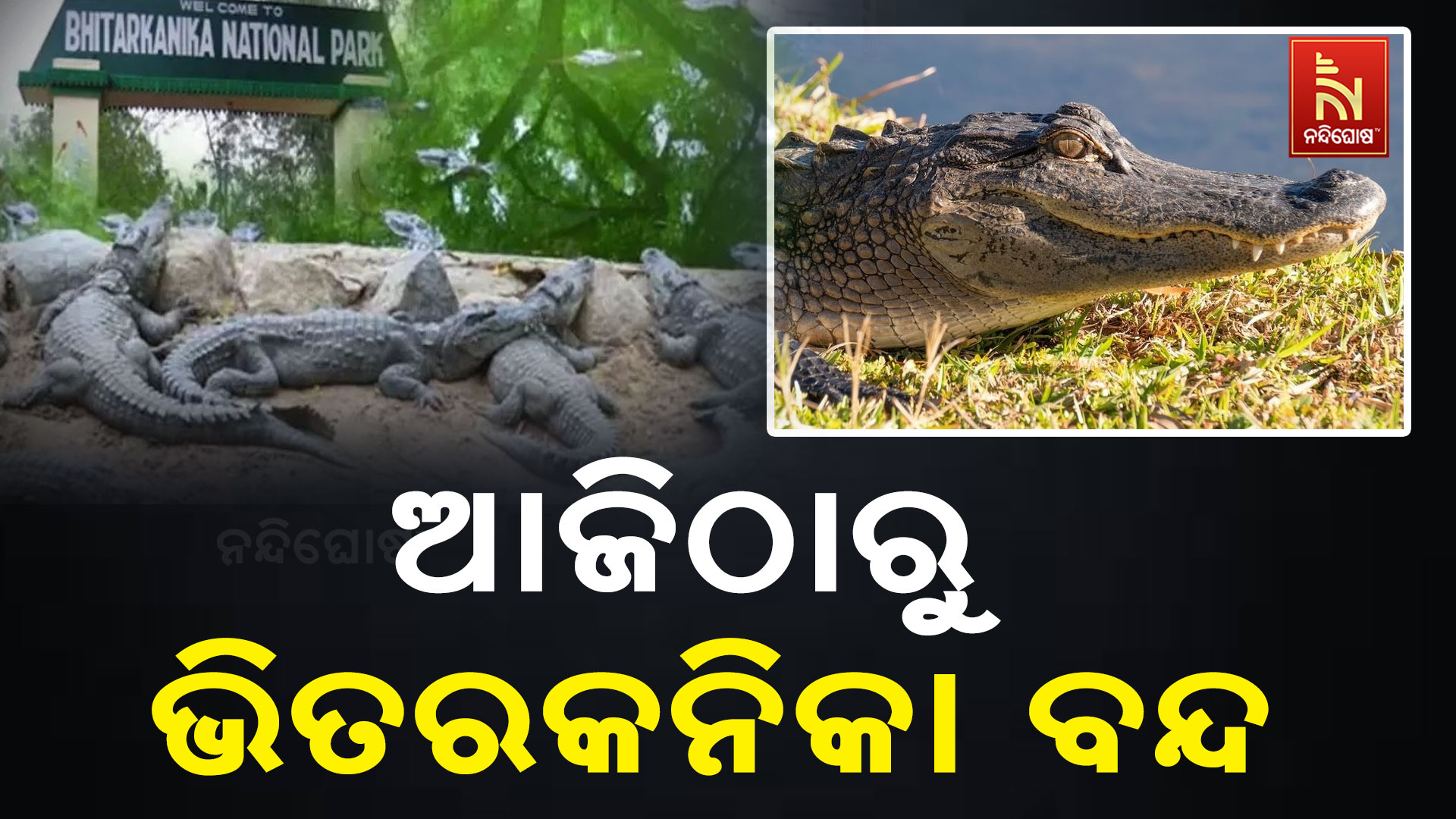 ଆଜିଠାରୁ-ଭିତରକନିକା-ବନ୍ଦ