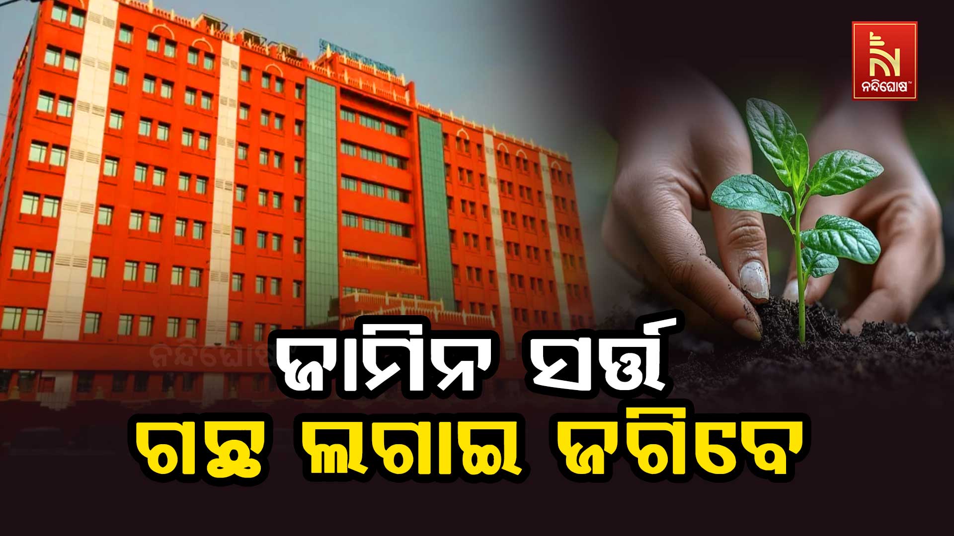 ଜାମିନ-ସର୍ତ୍