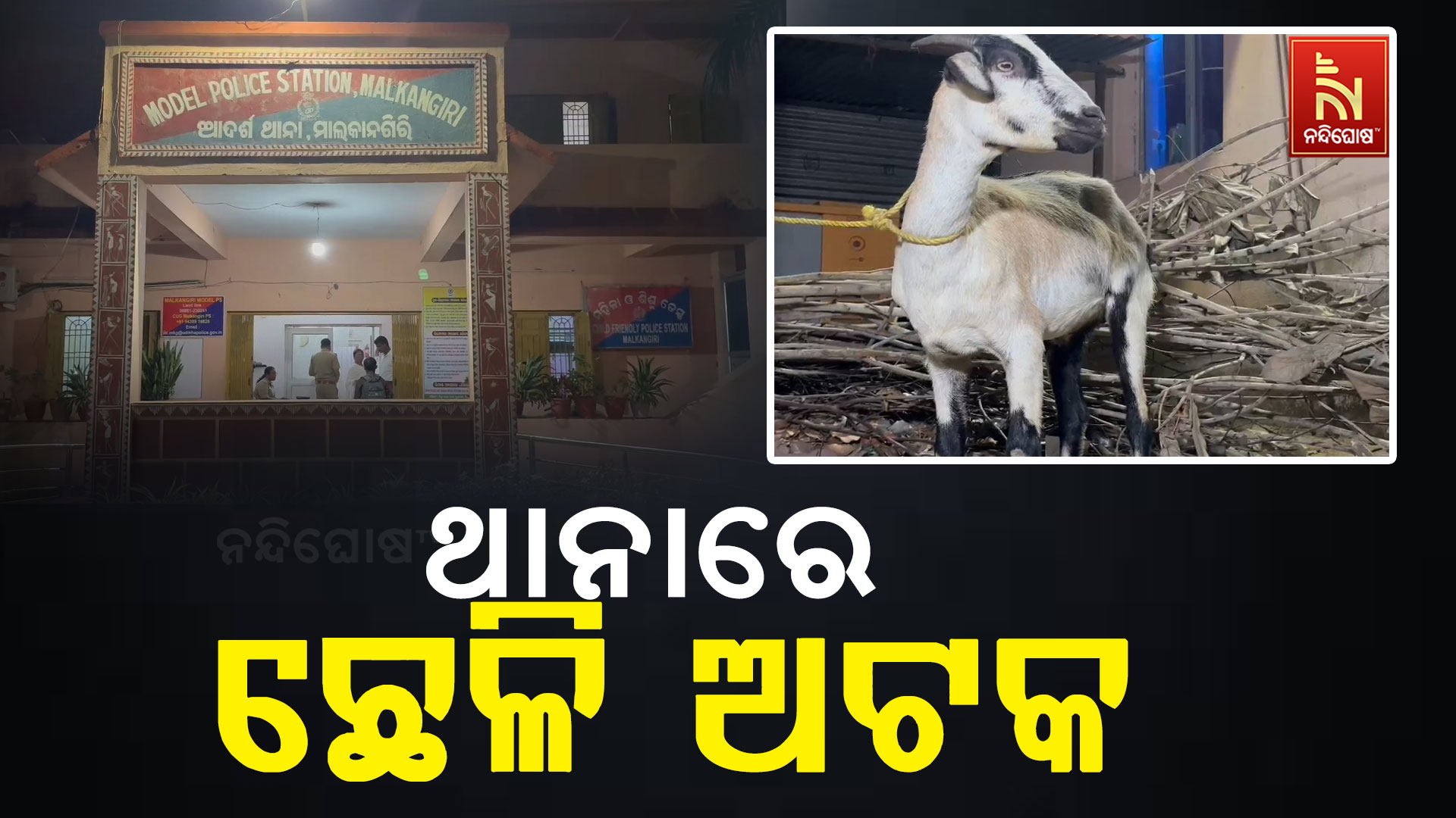 ଥାନାରେ-ଛେଳି-ଅଟକ