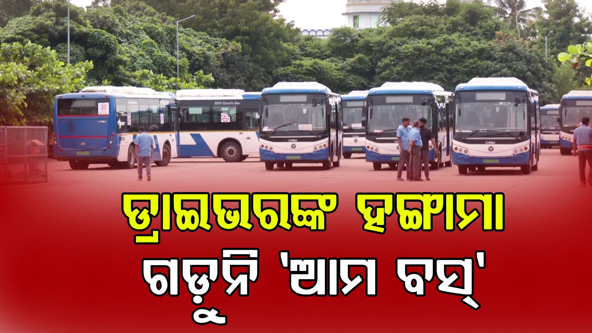 Driver Ama Bus
