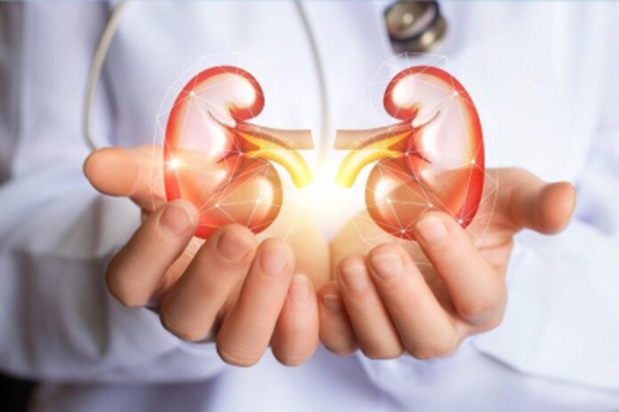 KIDNEY-DISEASE