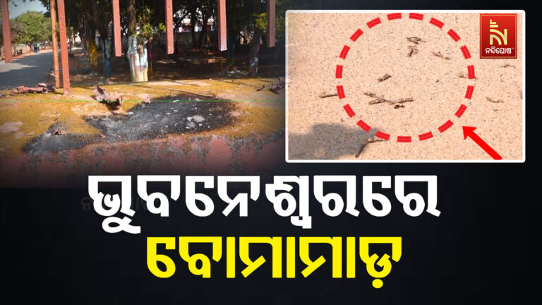 ଭୁବନେଶ୍ଵରରେ ବୋମାମାଡ଼ ; ଥରିଲା ସ୍ଥାନୀୟ ଅଞ୍ଚଳ ଓ ସ୍କୁଲ ପରିସର