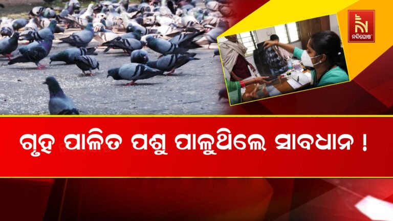 ଗୃହ ପାଳିତ ପଶୁ ପାଳୁଥିଲେ ସାବଧାନ: ବିଗିଡ଼ି ପାରେ ଫୁସଫୁସ