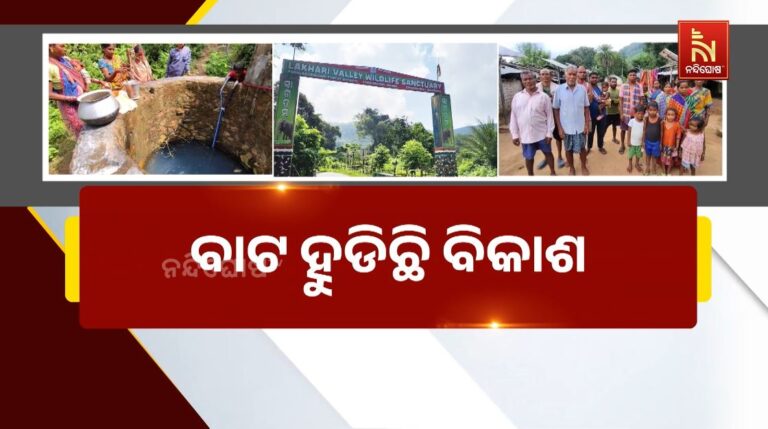 ବାଟ ହୁଡିଛି ବିକାଶ: ନା ଗାଁକୁ ଅଛି ରାସ୍ତା, ନା ମିଳିଛି ବିଦ୍ୟୁତ