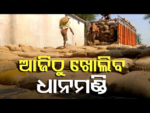 ଆଜିଠୁ ରାଜ୍ୟରେ ଆରମ୍ଭ ହେବ ଧାନକିଣା