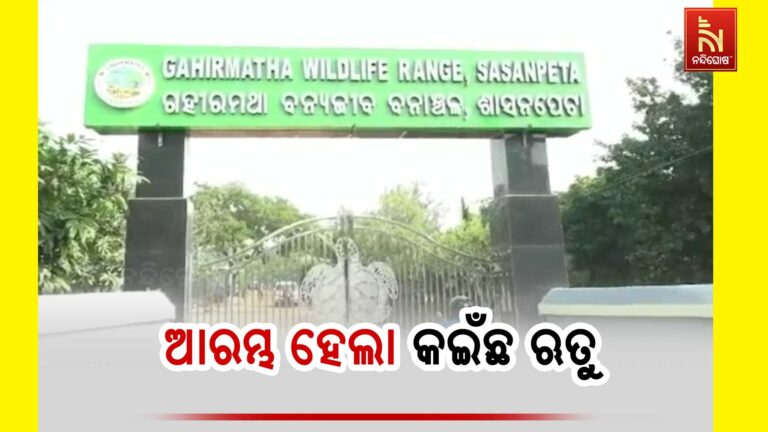 ଆଜିଠୁ ସମୁଦ୍ରରେ ମାଛଧରା ନିଷେଧ , ବିରଳ ଅଲିଭ୍ ରିଡଲେ କଇଁଛଙ୍କ ସୁରକ୍ଷା ପାଇଁ ୭ ମାସ ସରକାରୀ କଟକଣା