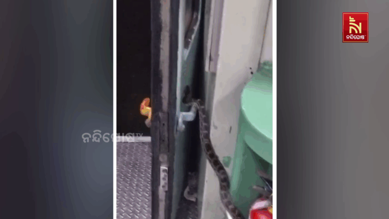 ଚଳନ୍ତା ଟ୍ରେନରେ ବିଶାଳ ଅଜଗର ସାପ