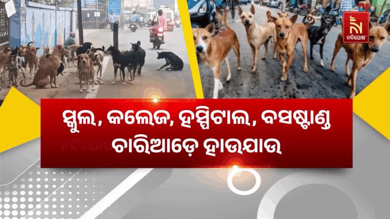 ସର୍ବସାଧାରଣ ସ୍ଥାନରୁ ହଟିବେ ବୁଲା କୁକୁର