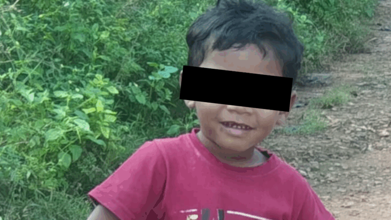 ଚିପ୍ସ ପକେଟରେ ଥିବା ଖେଳଣା ଗିଳି ଚାରି ବର୍ଷର ଶିଶୁ ମୃତ