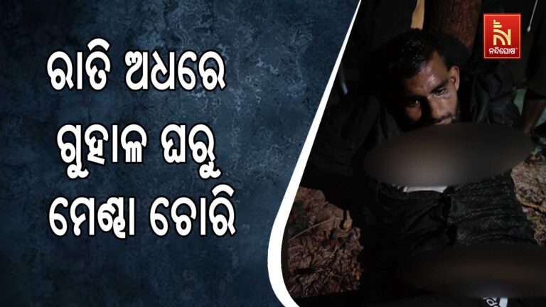 ରାତିଅଧରେ ଗୁହାଳ ଘରୁ ମେଣ୍ଢା ଚୋରି; ଖବର ପାଇ ମାଡିବସିଲେ ସ୍ଥାନୀୟ ଲୋକେ
