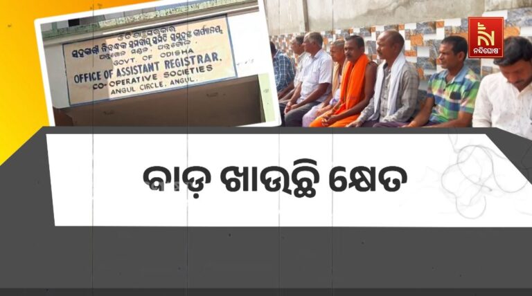 ବାଡ଼ ଖାଉଛି କ୍ଷେତ: ଚାଷୀଙ୍କ ବୀମା ଟଙ୍କା କରାଯାଉଛି ହଡ଼ପ