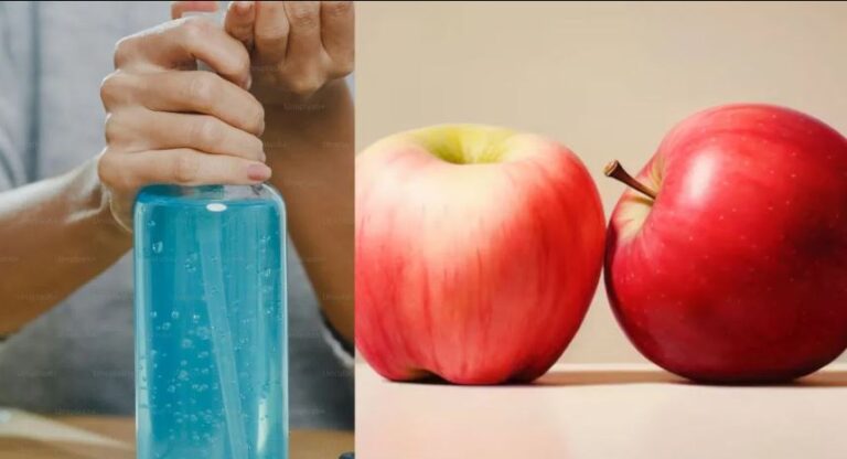 ଦୁଇଟି ସେଓ ଚୋରିକୁ ନେଇ ପାକିସ୍ତାନରେ ମାମଲା ରୁଜୁ