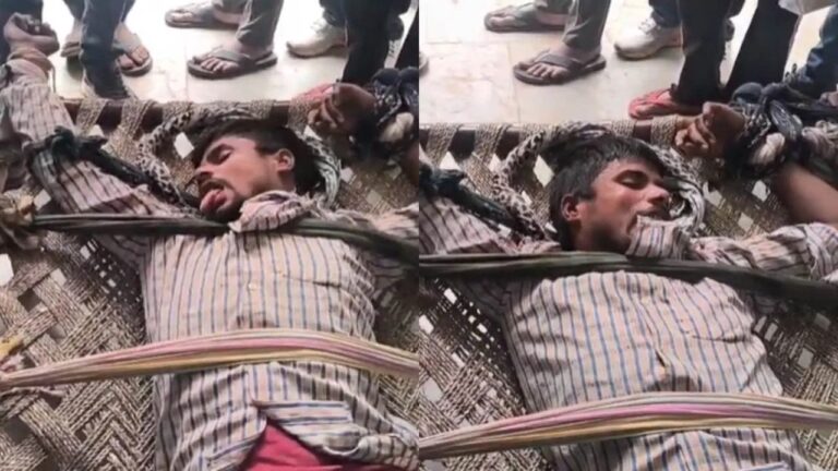 କୁକୁର କାମୁଡ଼ିବା ପରେ କୁକୁର ଭଳି ଆଚରଣ କଲେ ଯୁବକ ; ଭିଡ଼ିଓ ଭାଇରାଲ