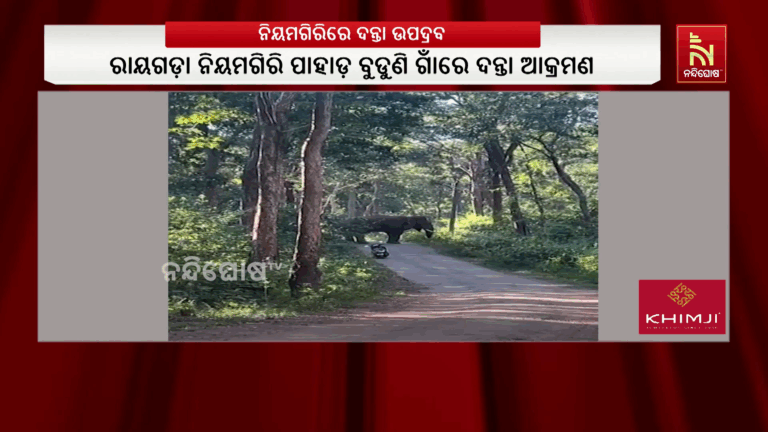 କଲ୍ୟାଣସିଂହପୁରରେ ଦନ୍ତା ହାତୀ ଆକ୍ରମଣରେ ଯୁବକ ଗୁରୁତର