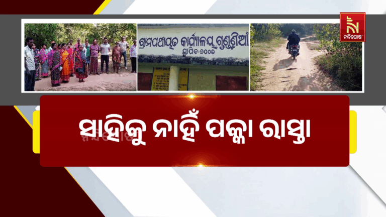 ସାହିକୁ ନାହିଁ ପକ୍କା ରାସ୍ତା, କାଜୁ ଜଙ୍ଗଲ ଶେଷ ଭରସା…