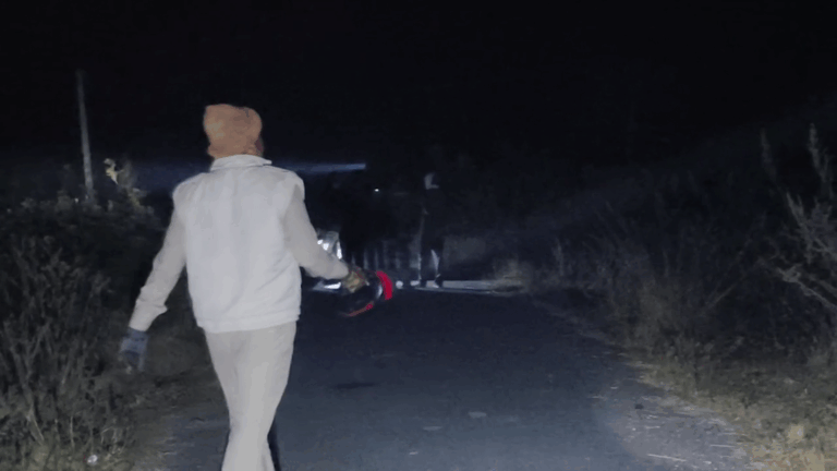 ସାନଖେମୁଣ୍ଡି ବ୍ଲକ ପାଟପୁର ସେକ୍ସନରେ ହାତୀପଲଙ୍କ ଉପଦ୍ରବ, ନଜର ରଖିଛି ବନ ବିଭାଗ ଟିମ୍