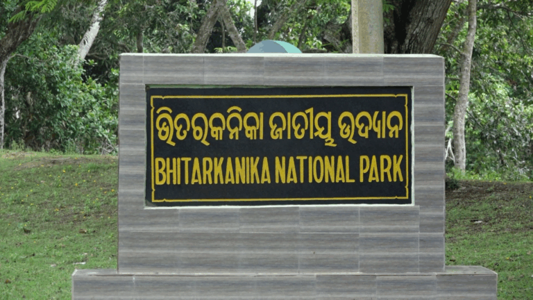 ଭିତରକନିକାରେ କେବେଠୁ ଆରମ୍ଭ ହେବ କୁମ୍ଭୀର ଗଣନା ? ସ୍ଥିର ହୋଇପାରୁନି ତାରିଖ