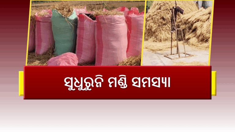 ରାଜ୍ୟରେ କେବେ ସୁଧୁରିବ ଧାନ କିଣା ସମସ୍ୟା ? ଗଞ୍ଜାମରେ ଏଯାଏଁ ଖୋଲିନି ମଣ୍ଡି…