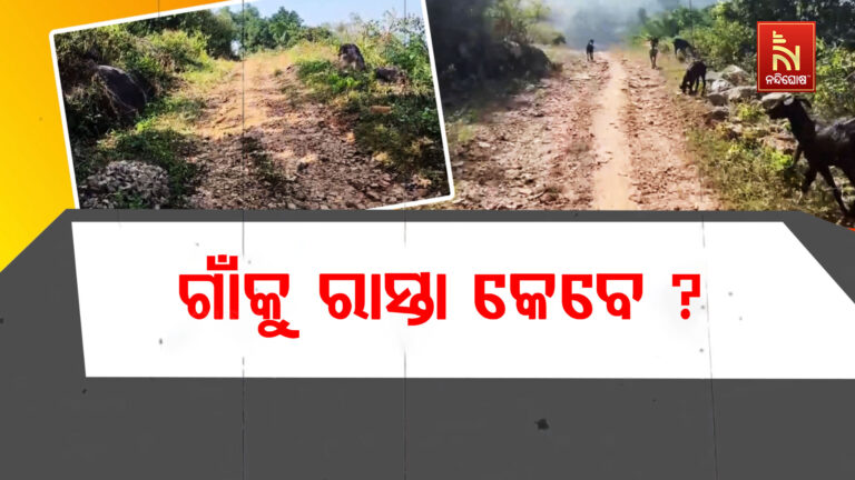 ଗାଁକୁ ନାହିଁ ପକ୍କା ରାସ୍ତା: ବିଭିନ୍ନ ସମସ୍ୟାର ସମ୍ମୁଖୀନ ହେଉଛନ୍ତି ୬୦ରୁ ଅଧିକ ପରିବାର