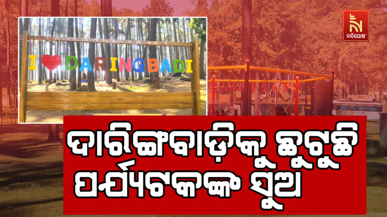 ଶୀତର ପ୍ରକୋପ ଭିତରେ ଦାରିଙ୍ଗବାଡ଼ିରେ ଜମୁଛି ହଜାର ହଜାର ପର୍ଯ୍ୟଟକଙ୍କ ଭିଡ଼