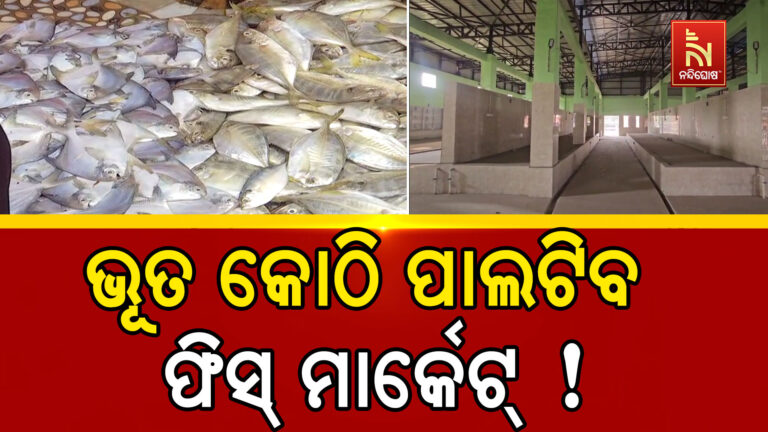 ଭୂତକୋଠି ପାଲଟିଲାଣି ବାଲେଶ୍ବର ହାଇଟେକ ଫିସ୍ ମାର୍କେଟ