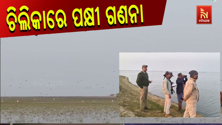 ରାଜ୍ୟର ବିଭିନ୍ନ ସ୍ଥାନରେ ଚାଲିଛି ପକ୍ଷୀ ଜଣନା