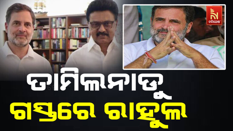 ଆଜି ତାମିଲନାଡୁ ଯିବେ କଂଗ୍ରେସ ନେତା ରାହୁଲ ଗାନ୍ଧୀ ; ନୀଳଗିରି ସ୍ଥିତ ଘରୋଇ ସ୍କୁଲ କାର୍ଯ୍ୟକ୍ରମରେ ହେବେ ସାମିଲ