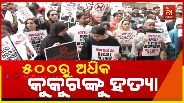 ତେଲଙ୍ଗାନାରେ ଅଭାବନୀୟ ଘଟଣା: ଏକ ସପ୍ତାହରରେ ୫୦୦ରୁ ଅଧିକ କୁକୁରଙ୍କୁ ବିଷ ଦେଇ ହତ୍ୟା