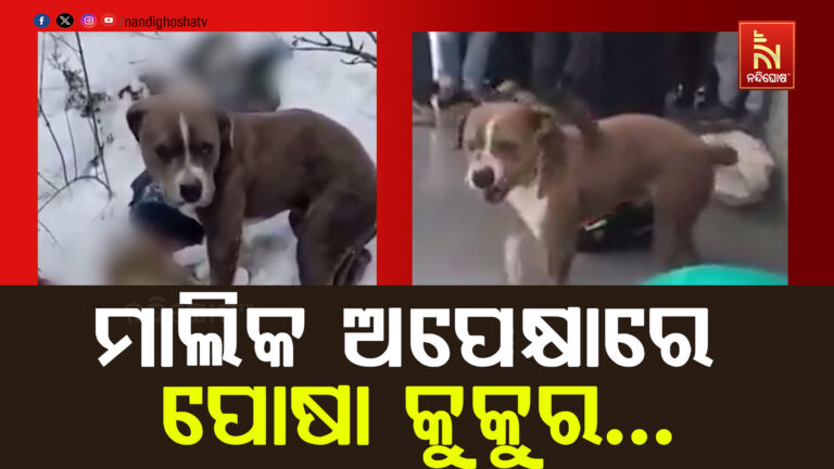 ମାଲିକ ଆରପାରିକୁ ଚାଲିଯାଇଛି ; ମାଲିକ ଅପେକ୍ଷାରେ ପୋଷା କୁକୁର…
