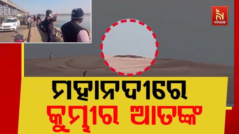 ମହାନଦୀରେ କୁମ୍ଭୀର ଆତଙ୍କ: ଯୋବ୍ରା ବ୍ରିଜ ନିକଟରେ ପାଖାପାଖି ୧୮ ଫୁଟର କୁମ୍ଭୀର ଦେଖି ଲୋକେ ଆତଙ୍କିତ