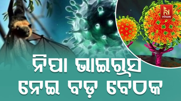 ନିପା ଭାଇରସକୁ ନେଇ ଆଜି ସ୍ବାସ୍ଥ୍ୟମନ୍ତ୍ରୀଙ୍କ ଅଧ୍ୟକ୍ଷତାରେ ବସିବ ସମୀକ୍ଷା ବୈଠକ