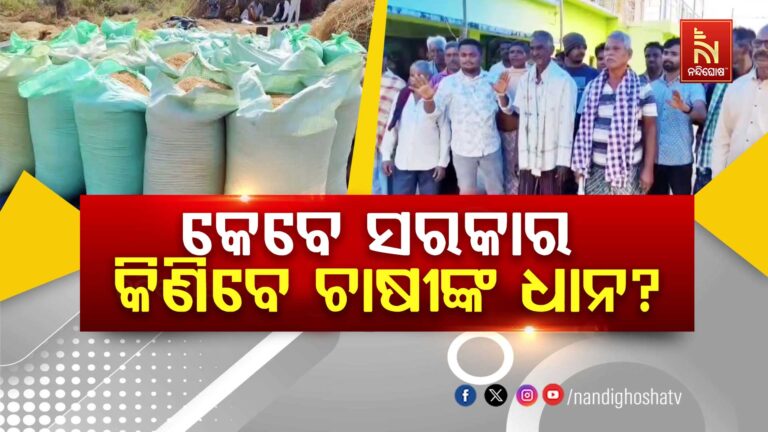 ଆସିକା ଓ ଧରାକୋଟ ଅଞ୍ଚଳରେ ସୁଧୁରୁନି ମଣ୍ଡି ସମସ୍ୟା