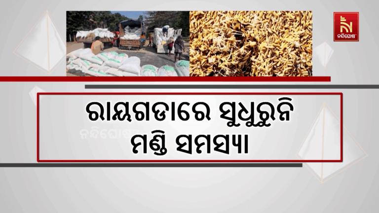 ମଣ୍ଡି ଉଦଘାଟନକୁ ବିତିଲାଣି ୨୦ ଦିନ,  ଆଜି ବି ଅନେକ ମଣ୍ଡିରୁ ଉଠୁନି ଧାନ