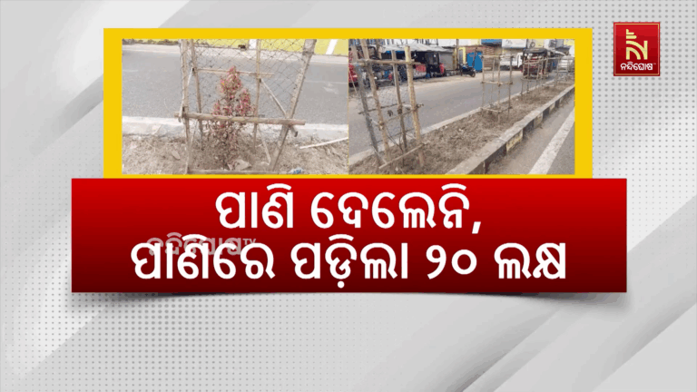 ସବୁଜ ସୁନ୍ଦର ଯୋଜନାରେ ହରିଲୁଟ୍ : ପାଣିରେ ପଡ଼ିଲା ୨୦ ଲକ୍ଷ ଟଙ୍କା…