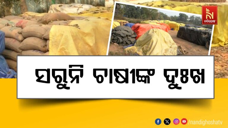 କେବେ ସୁଧୁରିବ ମଣ୍ଡି ସମସ୍ୟା ? ଏଯାଏଁ ସରୁନି ଖରିଫ ଧାନ କିଣା