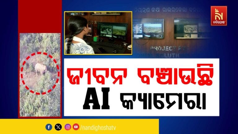 ଜୀବନ ବଞ୍ଚାଉଛି AI କ୍ୟାମରା, ବର୍ଷକରେ ୪୬ ଦୁର୍ଘଟଣା ରୋକିବା ସହ ଉଦ୍ଧାର ହେଲେଣି ୨୭୦ ହାତୀ