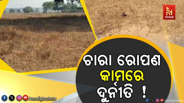 ନୂତନ ବଗିଚା ଚାରା ରୋପଣ କାର୍ଯ୍ୟରେ ଦୁର୍ନୀତିର ଗନ୍ଧ ; ୫୦ ଲକ୍ଷରୁ ଉର୍ଦ୍ଧ୍ଵ ଟଙ୍କା ଖର୍ଚ୍ଚ ପରେ ବି ବଗିଚାରେ ନାହିଁ ଗଛ