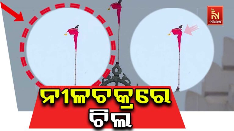 ଶ୍ରୀମନ୍ଦିର ନୀଳଚକ୍ର ଉପରେ ବସିଲା ଚିଲ : ମହାପ୍ରଭୁଙ୍କ ବଡ଼ ସଂଙ୍କେତ ନା ଆଉକିଛି !