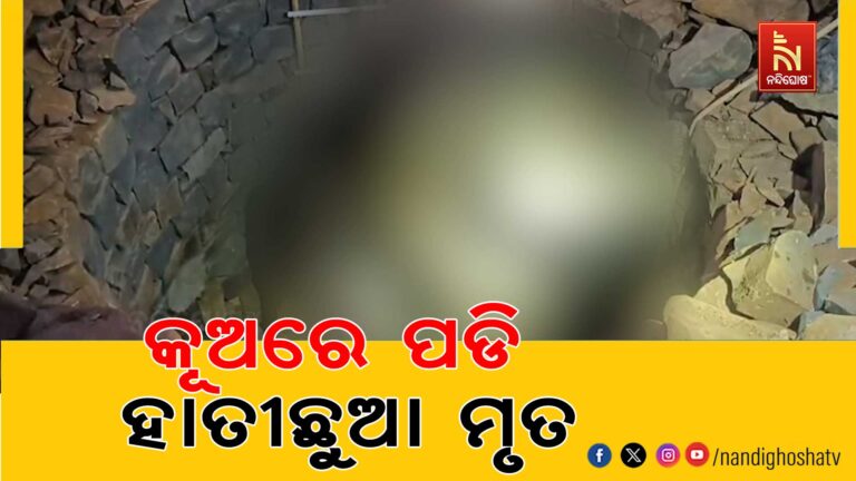 କୂଅରେ ପଡି ହାତୀଛୁଆ ମୃତ ; ମୃତ ହାତୀଛୁଆକୁ ଉଦ୍ଧାର କଲା ବନ ବିଭାଗ