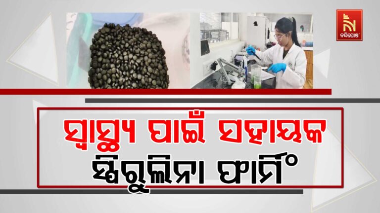 ଓଡ଼ିଶାରେ ପ୍ରଥମ ଥର ଲାଗି ଆରମ୍ଭ ହେଲା ସ୍ପିରୁଲିନା ଚାଷ….