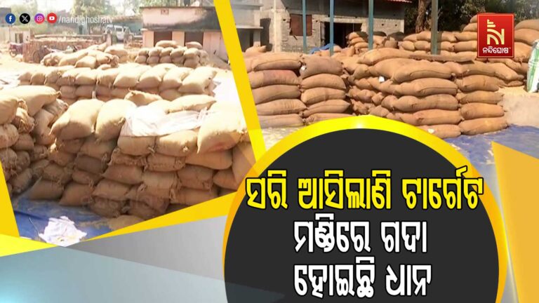 ମଣ୍ଡିରେ ଗଦା ହୋଇଛି ଧାନ: ବଲାଙ୍ଗୀର ଜିଲ୍ଲାରେ ଅନ୍ନଦାତାଙ୍କୁ ଅଣଦେଖା