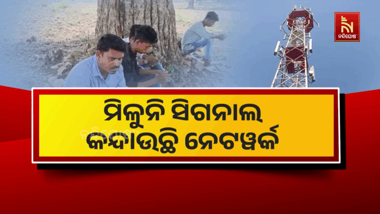 କନ୍ଦାଉଛି ନେଟୱର୍କ, ସିଗନାଲ ପାଇଁ କିଏ ଗଛରେ ତ କିଏ ଛାତ ଉପରେ