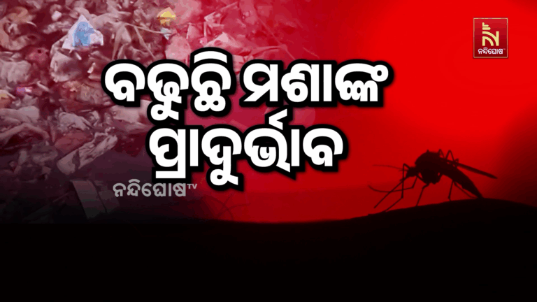 ହିଞ୍ଜିଳିକାଟୁରେ ବଢିବାରେ ଲାଗିଛି ମଶାଙ୍କ ପ୍ରାଦୁର୍ଭାବ, କଲବଲ ସହରବାସୀ