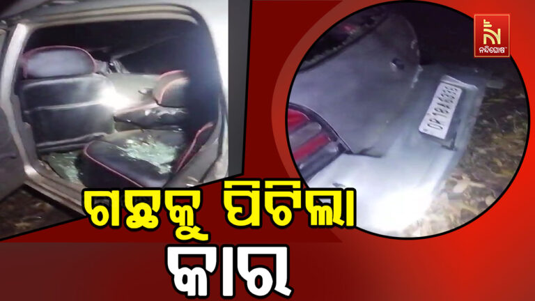 ଭାରସାମ୍ୟ ହରାଇ ଗଛକୁ ପିଟିଲା କାର, ୨ ମୃତ