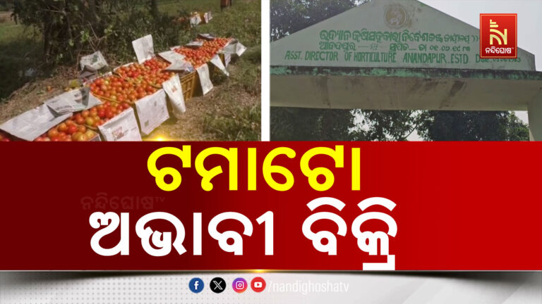 କୋଲ୍ଡ ଷ୍ଟୋର ନଥିବାରୁ ସମସ୍ୟା, ଅଭାବୀ ବିକ୍ରିର ଶିକାର ଚାଷୀ…