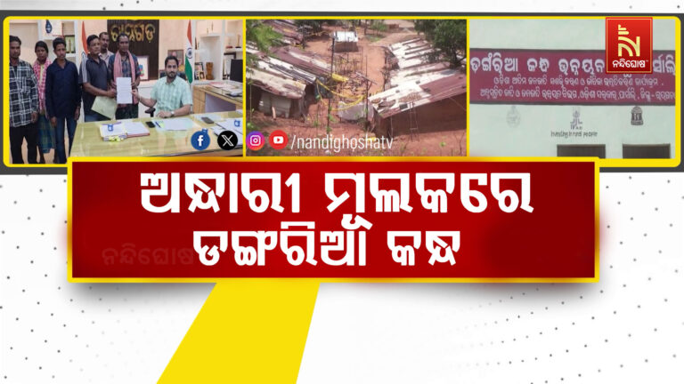 ସରକାରୀ ଯୋଜନାରୁ ବଞ୍ଚିତ ଡଙ୍ଗରିଆ କନ୍ଧ, ମିଳୁନି ସ୍ବାସ୍ଥ୍ୟ, ଶିକ୍ଷା ସହ ଗମନାଗମନ ସୁବିଧା