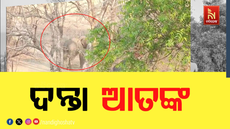 ବୌଦ୍ଧରେ ଦନ୍ତା ଆତଙ୍କ ; ଭୟଭୀତ ଅବସ୍ଥାରେ ଲୋକେ