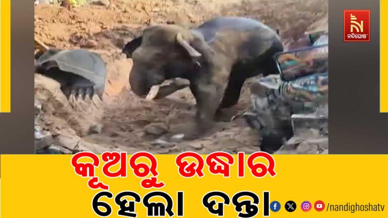 ପରିତ୍ୟକ୍ତ କୂଅରୁ ଉଦ୍ଧାର ହେଲା ଦନ୍ତା