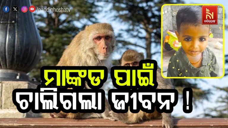 ମାଙ୍କଡକୁ ଡରି ଛାତରୁ ପଡି ତିନି ବର୍ଷର ଝିଅର ମୃତ୍ୟୁ…