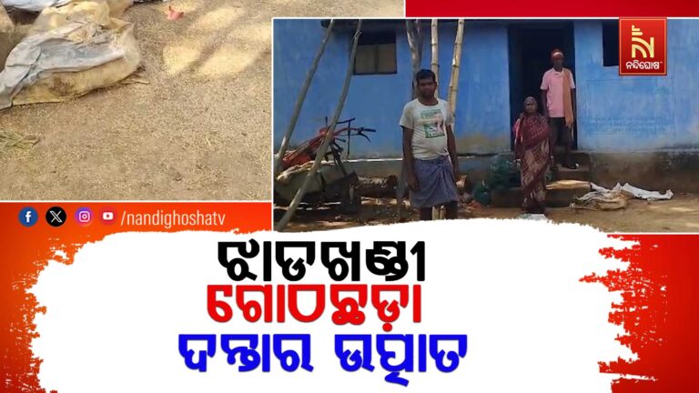 କେନ୍ଦୁଝର ଚମ୍ପୁଆ NACରେ ପଶିଲା ଝାଡଖଣ୍ଡୀ ଗୋଠଛଡ଼ା ଦନ୍ତା